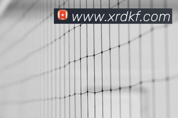 数据防护可视化